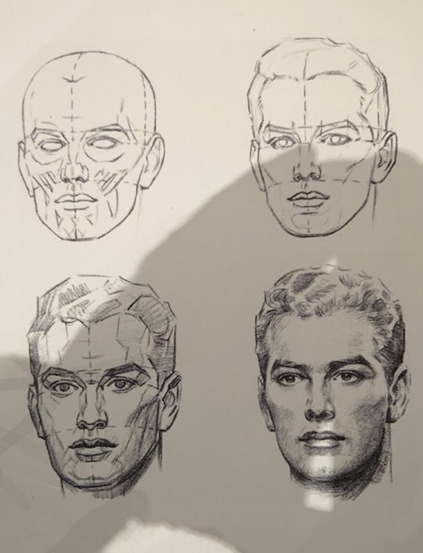 Visage modele